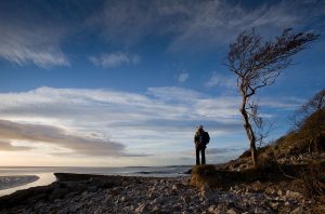 RSPB Leighton Moss and Morecambe Bay Nature Reserve