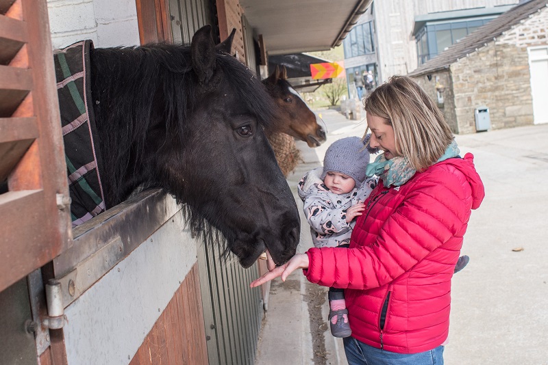 Shores Hey Farm Sleep Out To Help HAPPA Horses And Ponies - Marketing ...